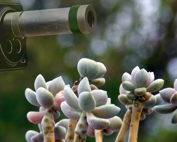 [Professional Photography] 350mm stepless aperture mobile phone telephoto lens can shoot moon ant portraits